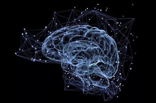 AI可以研究你的大脑以帮助教师改进他们的课程