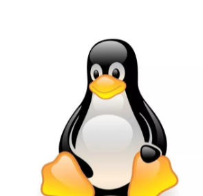 Linux内核错误为各种攻击方式打开了大门