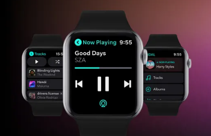 潮汐现在还提供了苹果Watch上的离线收听功能