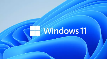 微软希望你帮助它找到Windows11中的错误