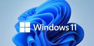Windows11别担心高级用户这里也有适合你的东西