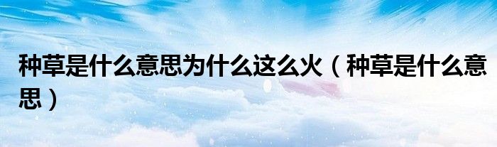 种草是什么意思为什么这么火(种草是什么意思)