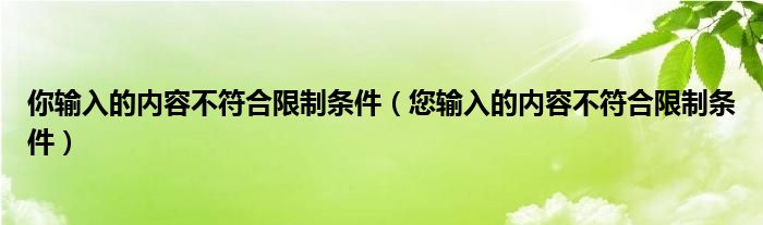 你输入的内容不符合限制条件(您输入的内容不符合限制条件)