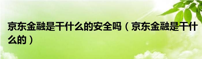 京东金融是干什么的安全吗（京东金融是干什么的）