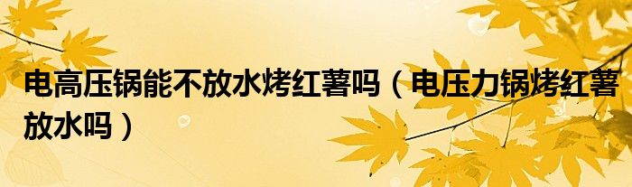 电高压锅能不放水烤红薯吗(电压力锅烤红薯放水吗)