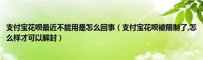 支付宝花呗最近不能用是怎么回事(支付宝花呗被限制了,怎么样才可以解封)