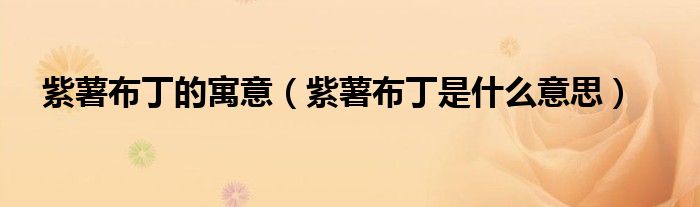 紫薯布丁的寓意(紫薯布丁是什么意思)