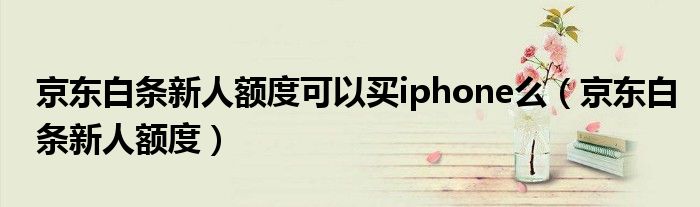 京东白条新人额度可以买iphone么（京东白条新人额度）