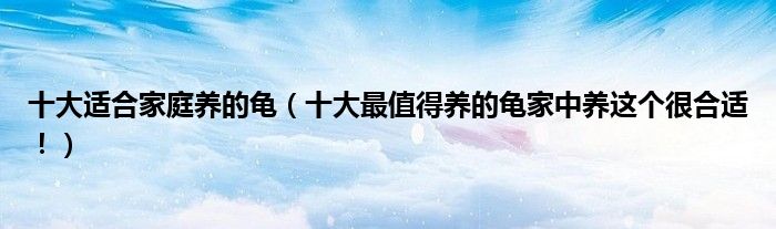 十大适合家庭养的龟(十大最值得养的龟家中养这个很合适!)