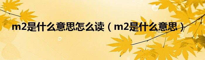 m2是什么意思怎么读（m2是什么意思）