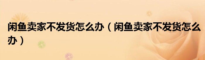 闲鱼卖家不发货怎么办(闲鱼卖家不发货怎么办)
