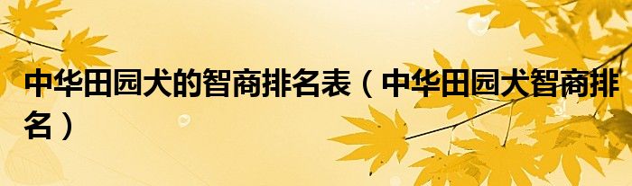 中华田园犬的智商排名表（中华田园犬智商排名）