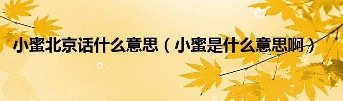 小蜜北京话什么意思(小蜜是什么意思啊)