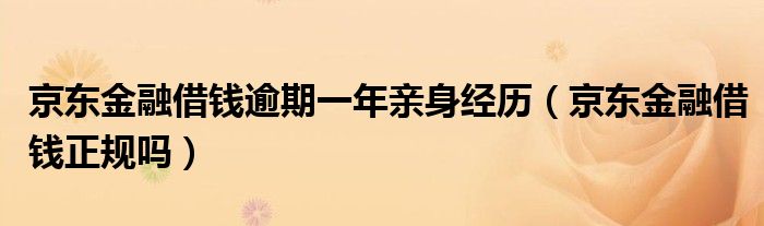 京东金融借钱逾期一年亲身经历(京东金融借钱正规吗)