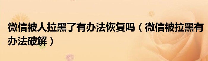 微信被人拉黑了有办法恢复吗(微信被拉黑有办法破解)