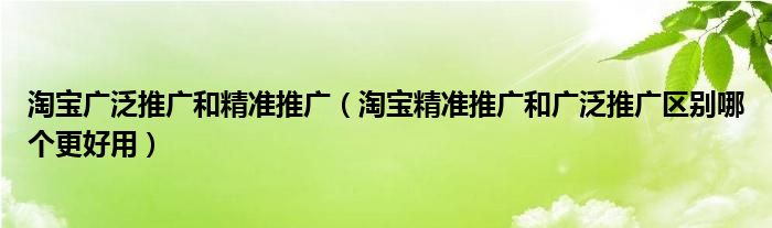 淘宝广泛推广和精准推广（淘宝精准推广和广泛推广区别哪个更好用）