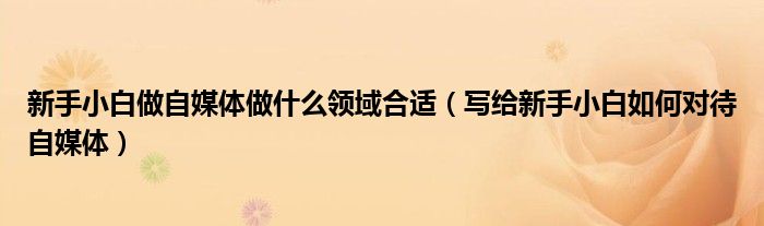 新手小白做自媒体做什么领域合适(写给新手小白如何对待自媒体)