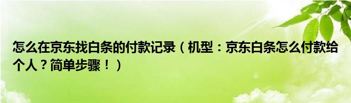 怎么在京东找白条的付款记录（机型：京东白条怎么付款给个人？简单步骤！）