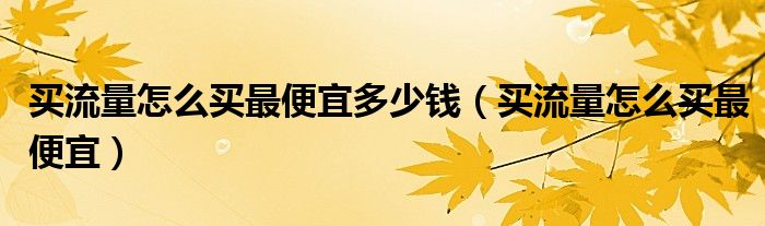 买流量怎么买最便宜多少钱(买流量怎么买最便宜)