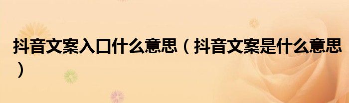 抖音文案入口什么意思(抖音文案是什么意思)
