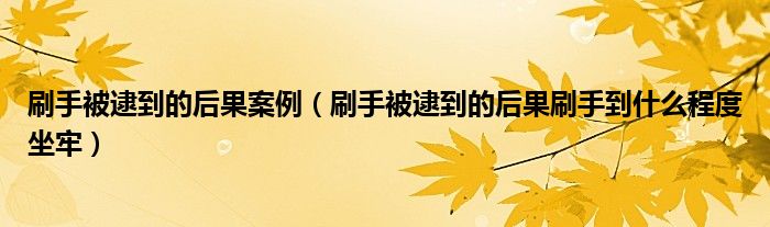 刷手被逮到的后果案例（刷手被逮到的后果刷手到什么程度坐牢）