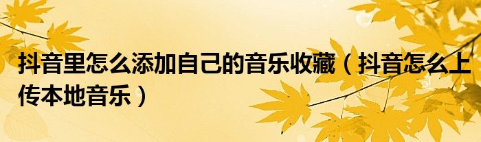 抖音里怎么添加自己的音乐收藏(抖音怎么上传本地音乐)