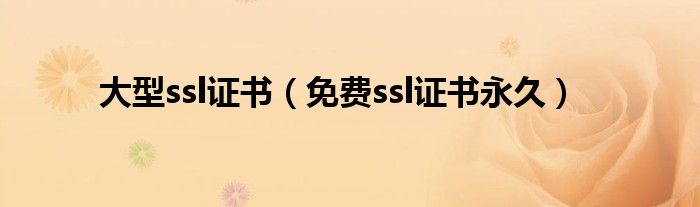 大型ssl证书(免费ssl证书永久)