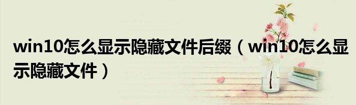 win10怎么显示隐藏文件后缀(win10怎么显示隐藏文件)