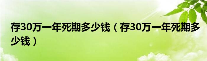 存30万一年死期多少钱（存30万一年死期多少钱）