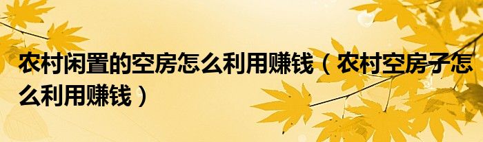 农村闲置的空房怎么利用赚钱(农村空房子怎么利用赚钱)