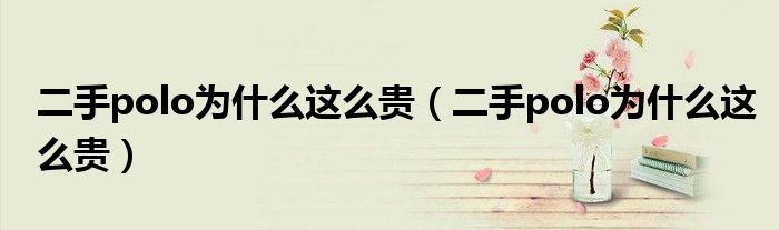 二手polo为什么这么贵(二手polo为什么这么贵)