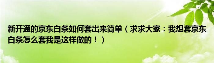 新开通的京东白条如何套出来简单(求求大家:我想套京东白条怎么套我是这样做的!)