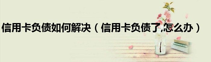 信用卡负债如何解决(信用卡负债了,怎么办)