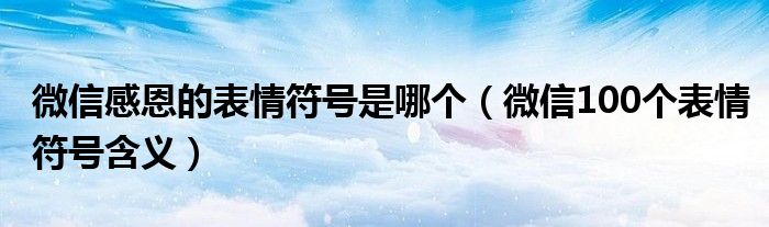 微信感恩的表情符号是哪个(微信100个表情符号含义)