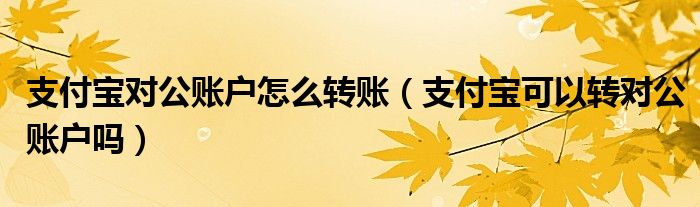 支付宝对公账户怎么转账(支付宝可以转对公账户吗)