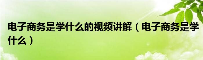 电子商务是学什么的视频讲解(电子商务是学什么)