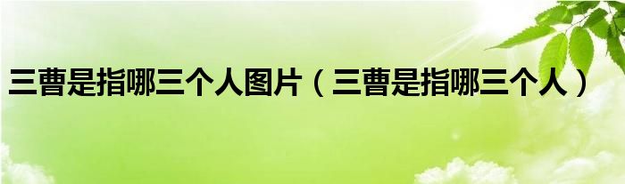 三曹是指哪三个人图片(三曹是指哪三个人)
