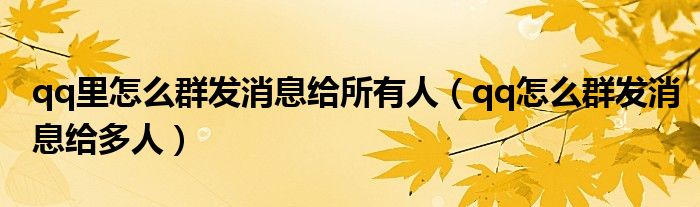 qq里怎么群发消息给所有人(qq怎么群发消息给多人)