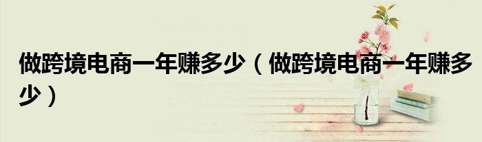 做跨境电商一年赚多少(做跨境电商一年赚多少)