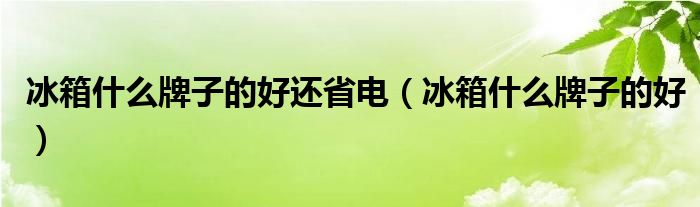 冰箱什么牌子的好还省电(冰箱什么牌子的好)