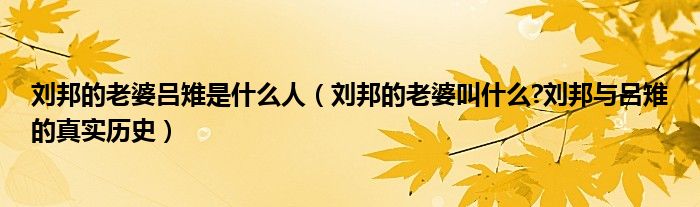 刘邦的老婆吕雉是什么人(刘邦的老婆叫什么?刘邦与吕雉的真实历史)