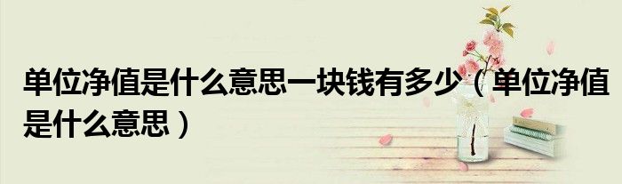 单位净值是什么意思一块钱有多少(单位净值是什么意思)