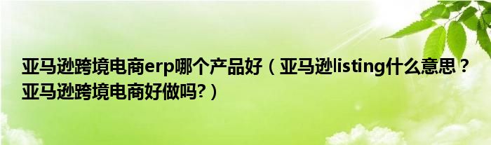 亚马逊跨境电商erp哪个产品好(亚马逊listing什么意思?亚马逊跨境电商好做吗?)