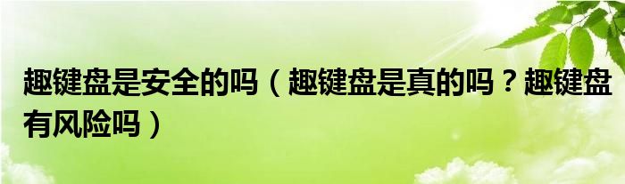 趣键盘是安全的吗(趣键盘是真的吗?趣键盘有风险吗)