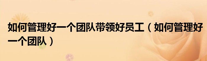 如何管理好一个团队带领好员工(如何管理好一个团队)