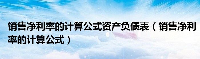 销售净利率的计算公式资产负债表(销售净利率的计算公式)