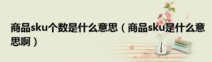 商品sku个数是什么意思(商品sku是什么意思啊)