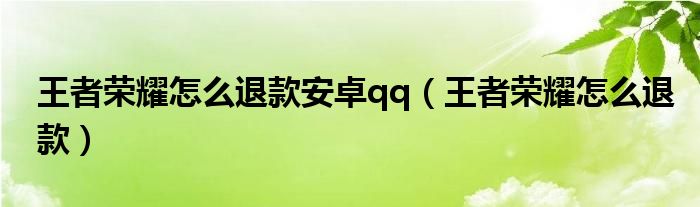 王者荣耀怎么退款安卓qq(王者荣耀怎么退款)