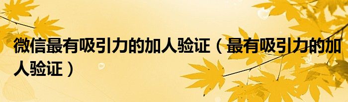 微信最有吸引力的加人验证(最有吸引力的加人验证)