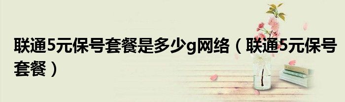 联通5元保号套餐是多少g网络(联通5元保号套餐)